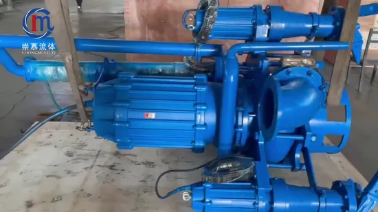 Zjq River Dredging Submerged Mud Sludge Sump Pump Vertical Centrifugal Sand Suction Dredge Pump Submersible Mining Mineral Pulp Paper Transfer Slurry Pump
